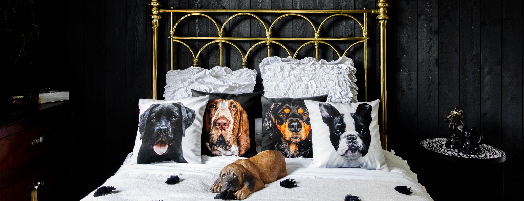 Collection Chiens et Chats by Artpilo